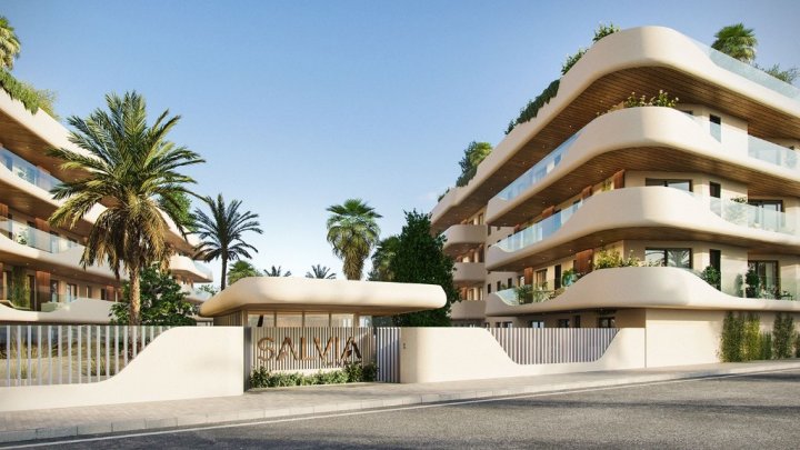 Salvia - San Pedro de Alcantara, Marbella